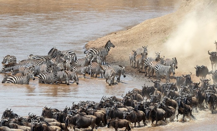 肯亞自由行攻略