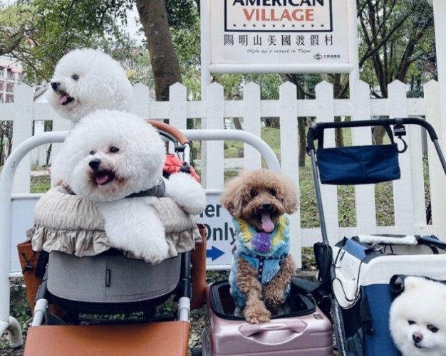 梅山寵物友善民宿