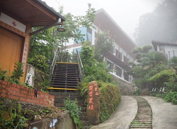 嘉義帶寵物住宿