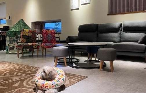 嘉義帶寵物旅遊