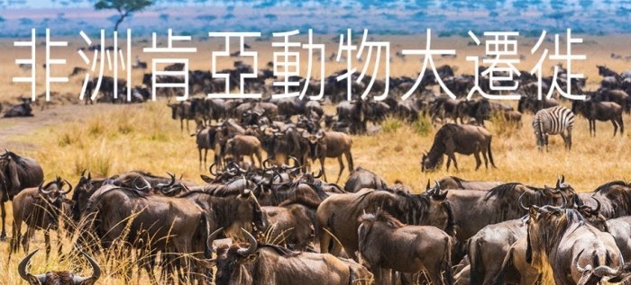 肯亞自由行攻略