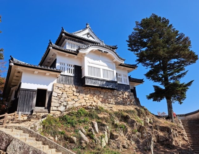 備中松山城行程