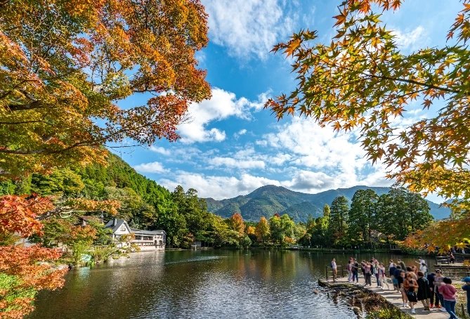 由布院交通方式