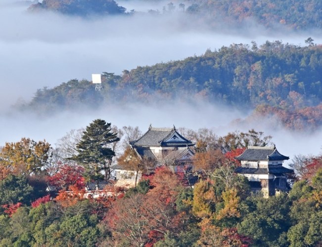 备中松山城交通