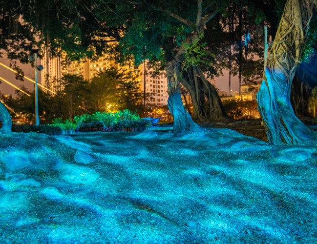 台北情人節晚餐