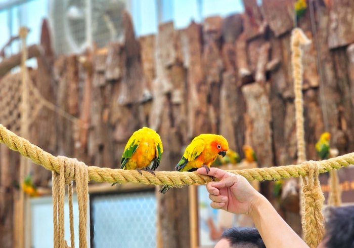 宜蘭室內動物園
