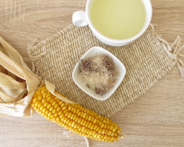 狗狗喝玉米鬚茶