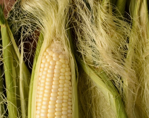 玉米茶健康益處