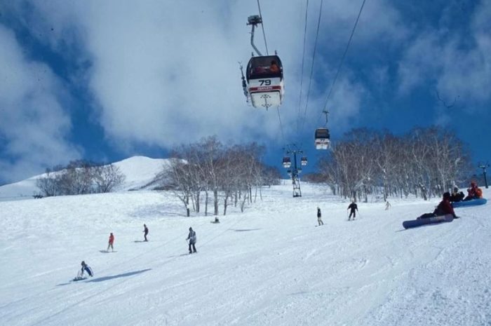 二世古雪票價格