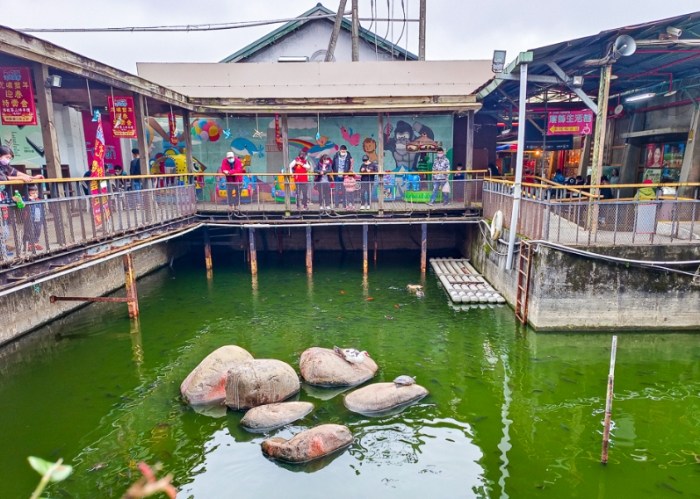 親子家庭住宿推薦