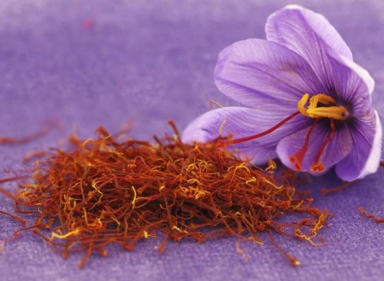 藏紅花作用