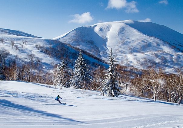 北海道滑雪預算
