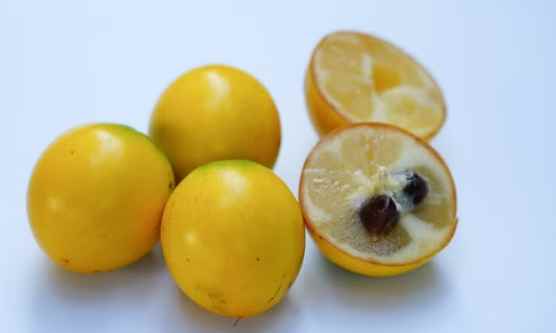 糖尿病吃黃金果