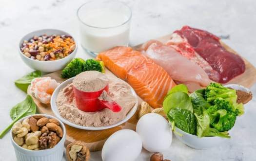 銀髮族蛋白質攝取