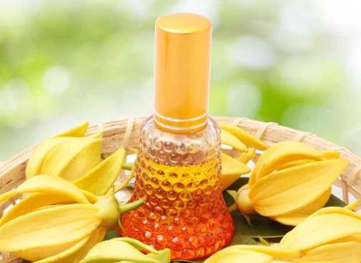 老年人精油使用安全