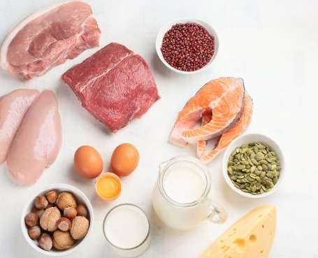 高蛋白食物老人