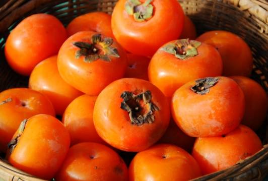 糖尿病吃柿子注意事項