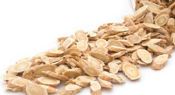 黃芪麥冬茯苓功效