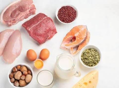 老人蛋白質不足