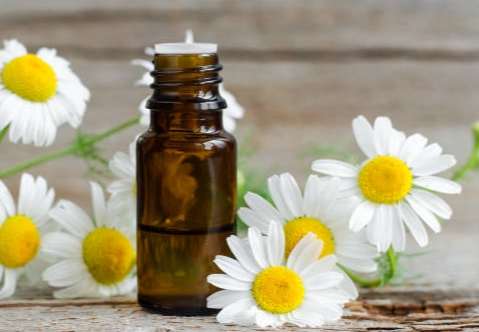 老年人精油使用安全