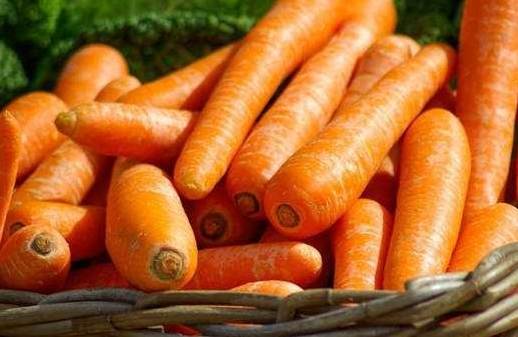 胡蘿蔔健康益處