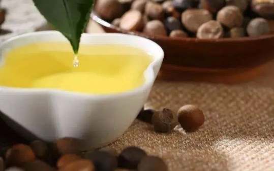 茶籽油耐熱溫度