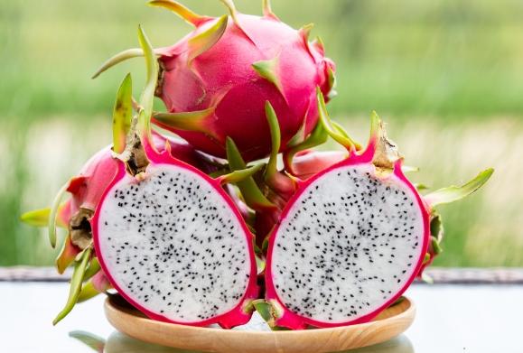 經期飲食火龍果