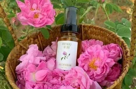 大馬士革玫瑰純露推薦