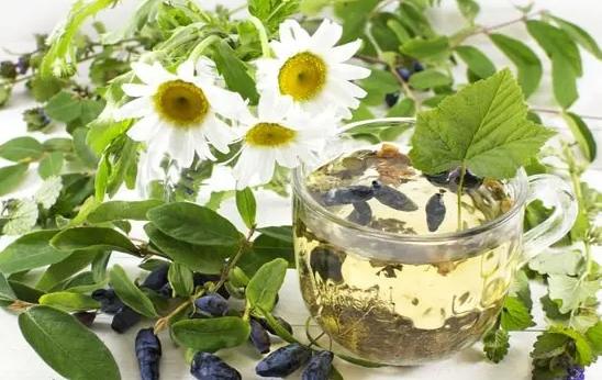 金銀花甘草枸杞茶做法