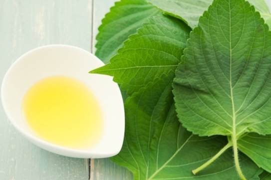 紫蘇油護膚方法