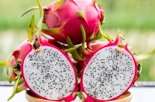 黃金火龍果營養