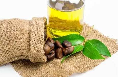 苦茶油紫蘇油比較