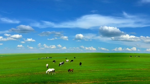 內蒙古草原景點