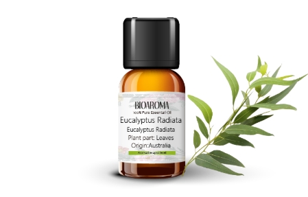 尤加利純露好處