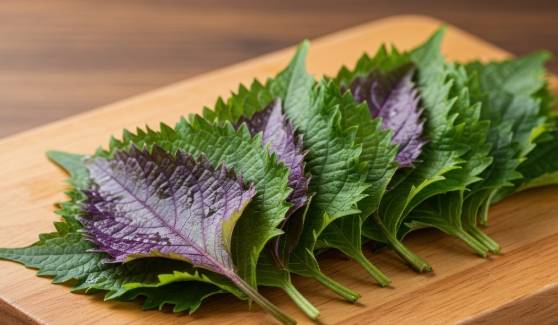紫蘇葉吃法