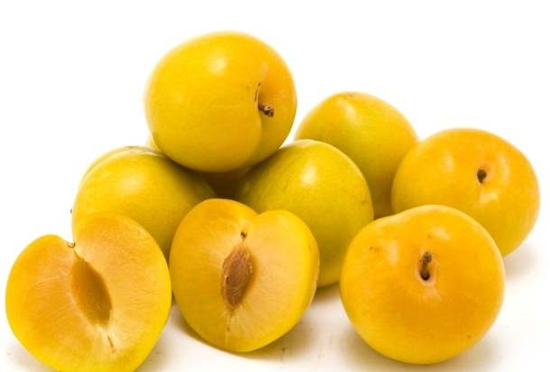 黃肉李子營養價值