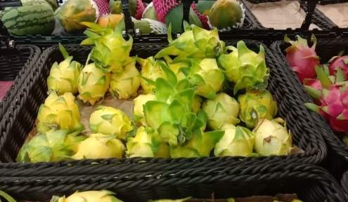 黃金火龍果口感