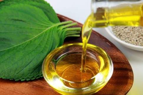 紫蘇油選購指南