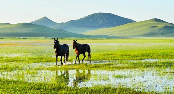 內蒙古旅遊季節