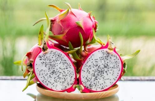 火龍果生理期影響