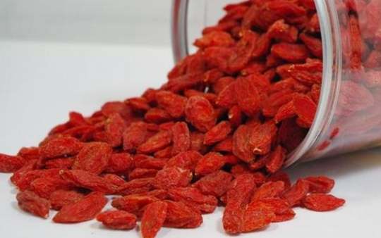 枸杞多醣體作用