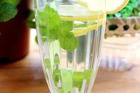 紫蘇薄荷檸檬茶功效