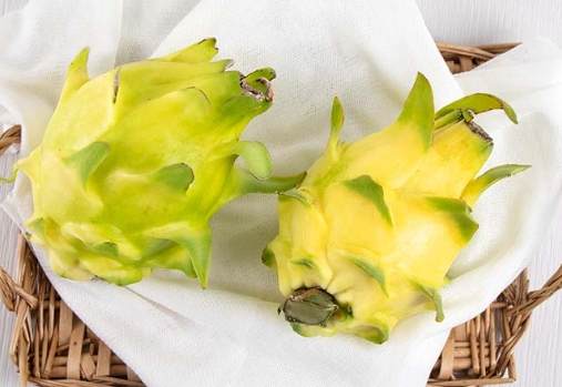 火龍果健康好處