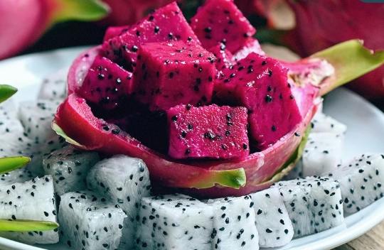 紅肉火龍果營養