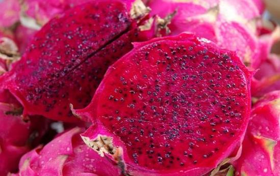 生理期吃火龍果