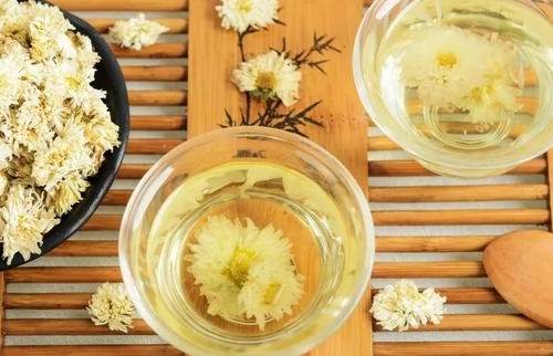 菊花茶泡法