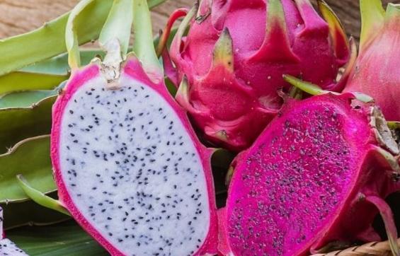 糖尿病 白色火龍果