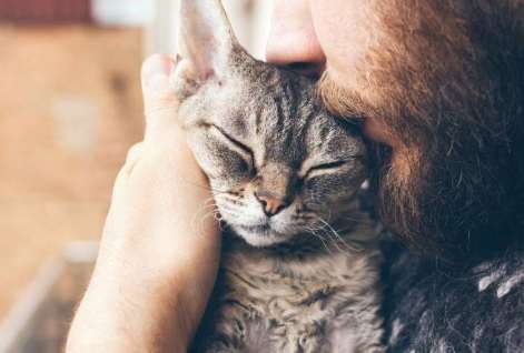 如何處理寵物離世情緒