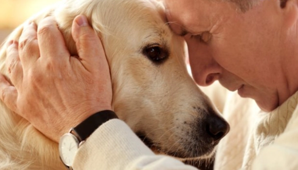 寵物喪失悲傷處理