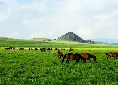 內蒙古旅遊注意事項